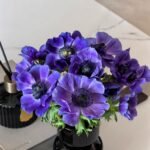 Anemone Bulbs, Vibrant Anemone Flower Corms for Planting, Perennial Garden Borders & Premium Cut Flowers - Image 4
