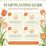 Tulip Bulbs, Mixed Breed Tulip Bulbs for Planting, Spring Perennial Flower Bulbs, Perfect for Yard Landscaping, Window Boxes and Cut Flower Arrangement - Image 5